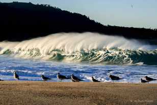 Wave at Carmel River Beach-0032